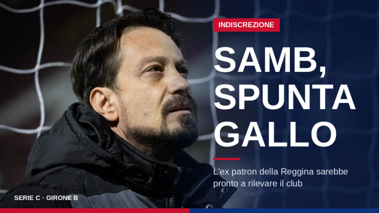samb-gallo-grafica